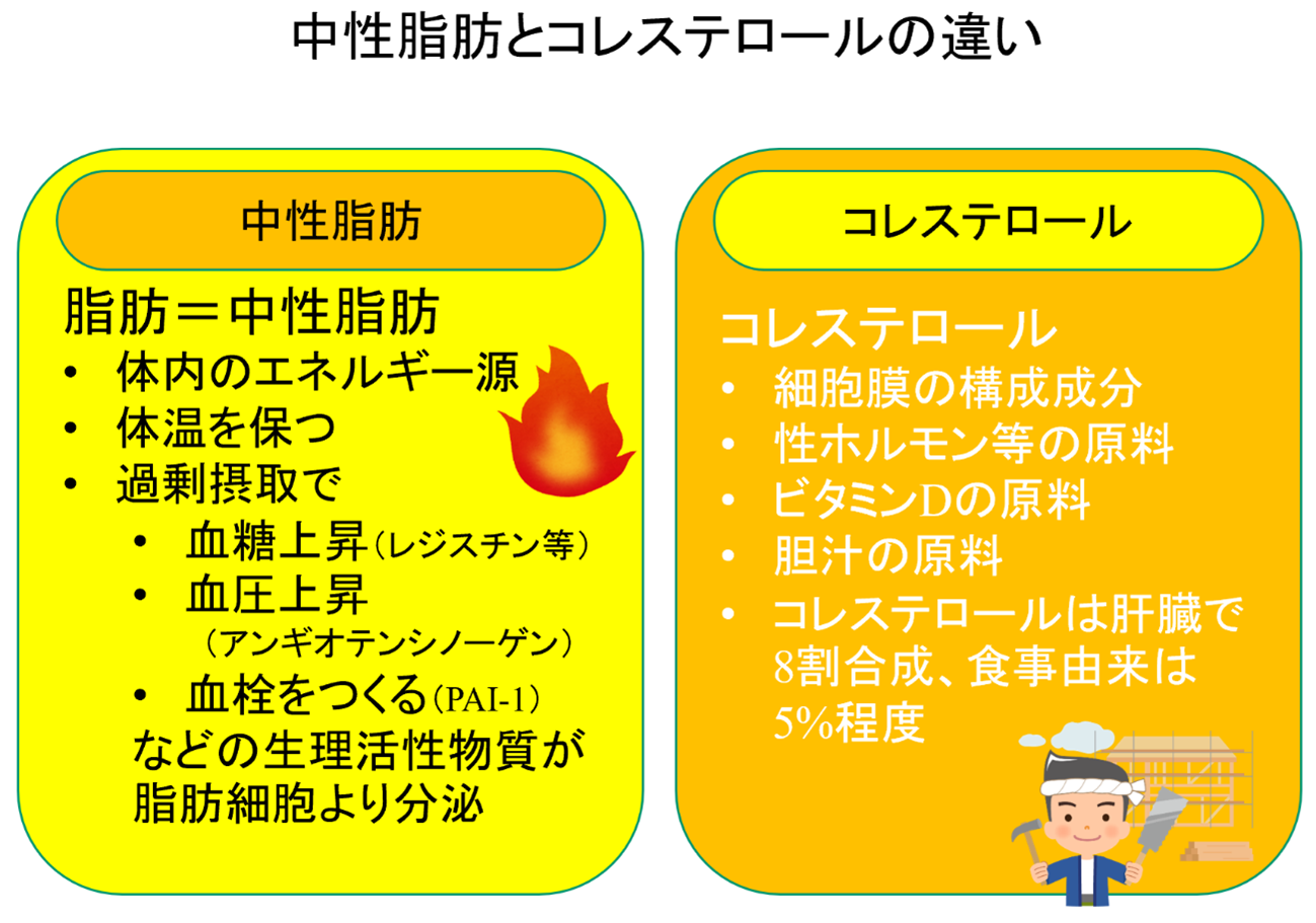 ἰὓᾬコレステロール中性脂肪IῘῳ 中性脂肪とコレステロールの違いって何？ | あおいメディカル | 薬の